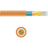 Interlocking Armored, 12 Strand, 62.5 Micron Multimode Fiber Optic Cable, Cut to Length<br />Technical Specifications for Interlocking Armored, 12 Strand, 62.5 Micron Multimode Fiber Optic Cable, Cut to Length:<br />